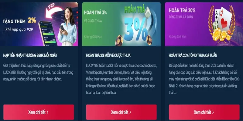 Đội ngũ hỗ trợ khách hàng lucki8